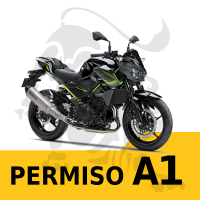 Matrícula Permiso A1